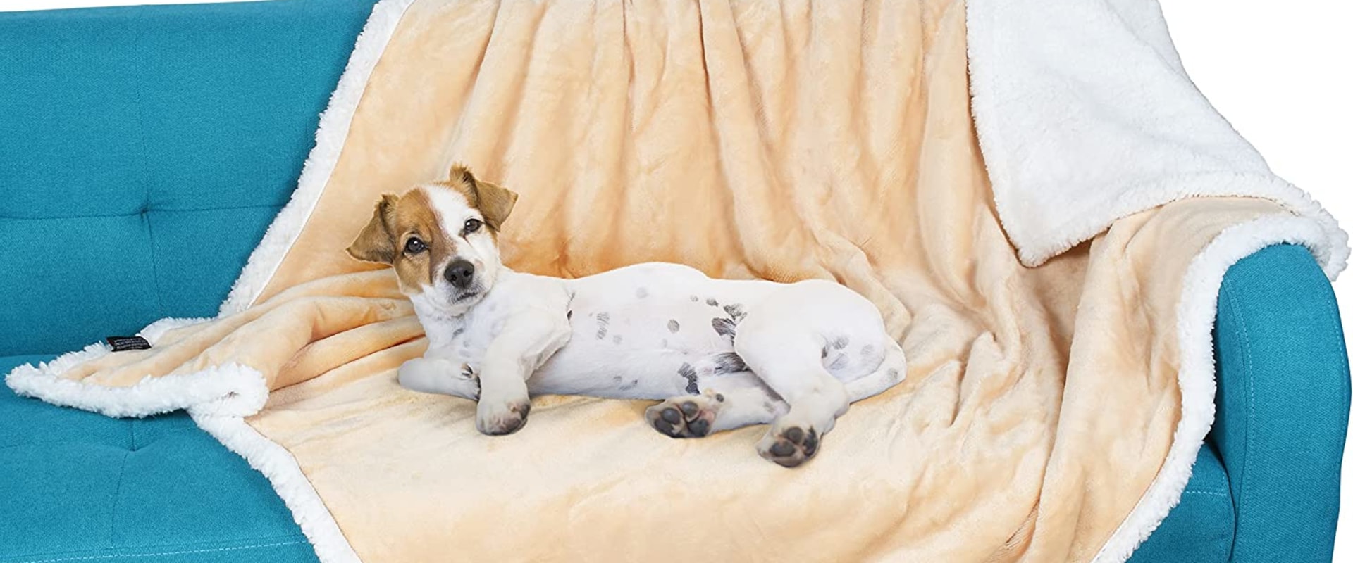 Wat voor soort dekens zijn goed voor honden?