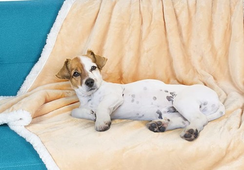 Wat voor soort dekens zijn goed voor honden?